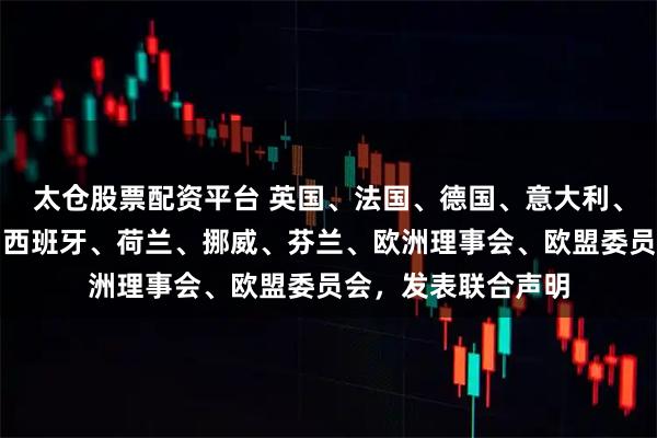 太仓股票配资平台 英国、法国、德国、意大利、加拿大、爱尔兰、西班牙、荷兰、挪威、芬兰、欧洲理事会、欧盟委员会，发表联合声明