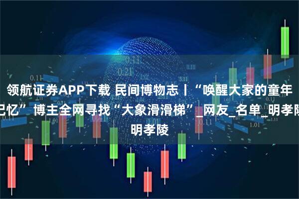 领航证券APP下载 民间博物志丨“唤醒大家的童年记忆” 博主全网寻找“大象滑滑梯”_网友_名单_明孝陵