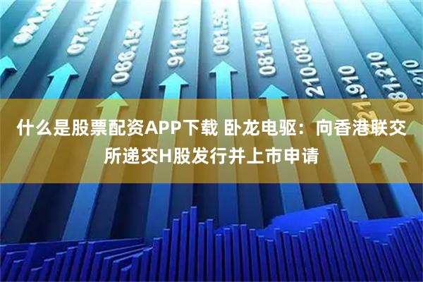 什么是股票配资APP下载 卧龙电驱：向香港联交所递交H股发行并上市申请